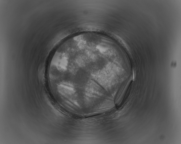 X0000090930627200708271045