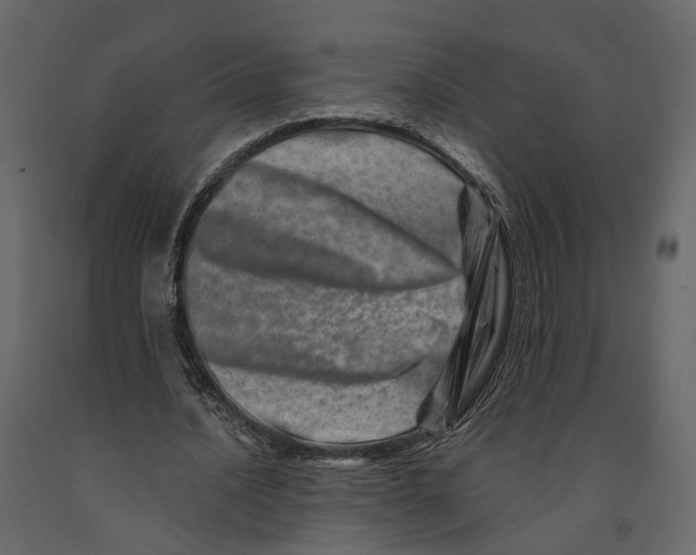 X0000090930628200708271045