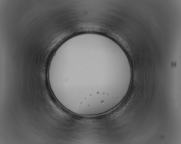 X0000090930629200708271045