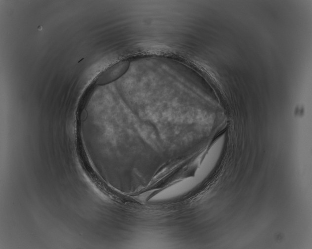 X0000090930630200708271045