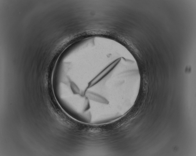 X0000090930631200708271045