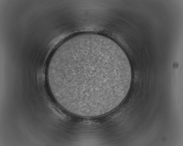 X0000090930632200708271045