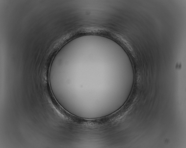 X0000090930633200708271045