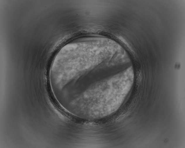 X0000090930634200708271045