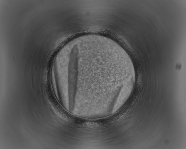 X0000090930636200708271045