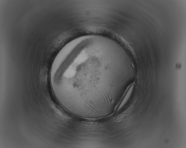 X0000090930637200708271045