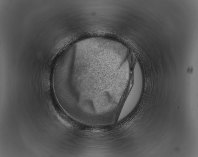 X0000090930638200708271045