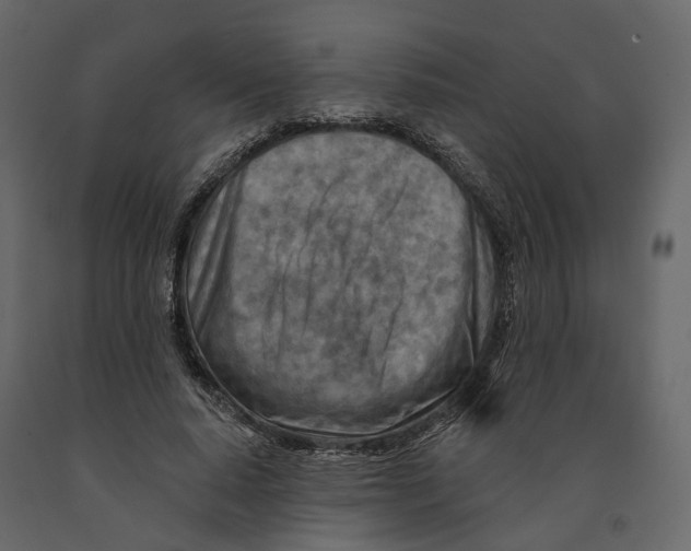 X0000090930640200708271045