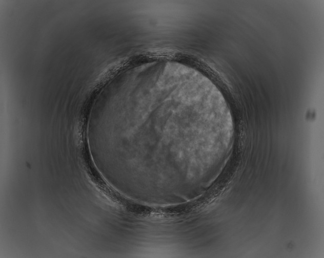 X0000090930641200708271045