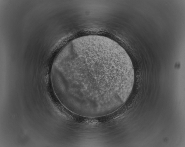 X0000090930642200708271045