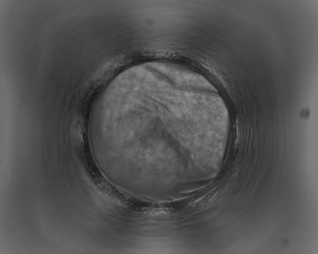 X0000090930643200708271045