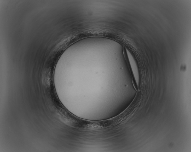 X0000090930644200708271045