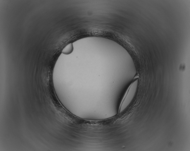 X0000090930645200708271045