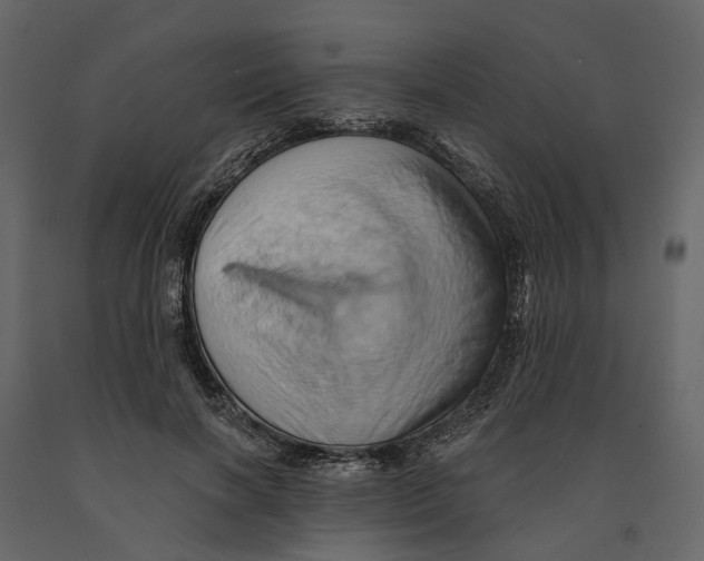 X0000090930646200708271045