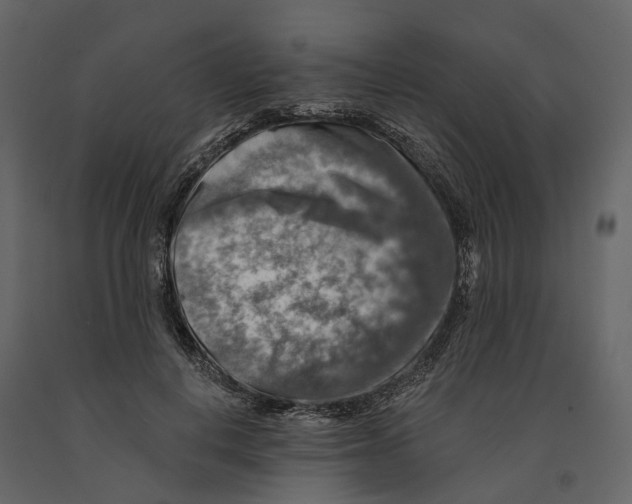 X0000090930648200708271045