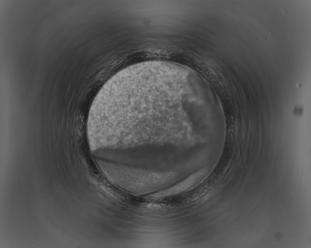 X0000090930649200708271045