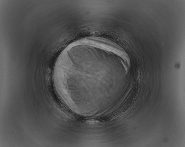 X0000090930650200708271045