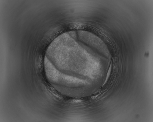 X0000090930651200708271045