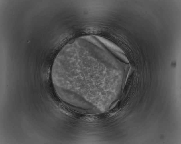 X0000090930652200708271045