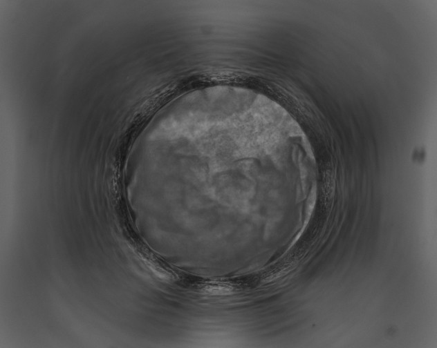 X0000090930653200708271045