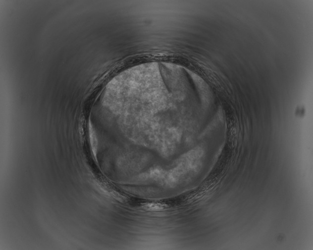 X0000090930654200708271045