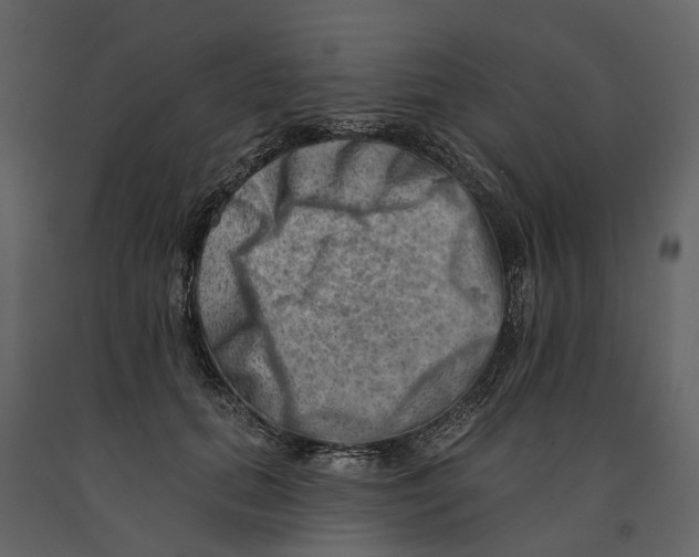 X0000090930655200708271045