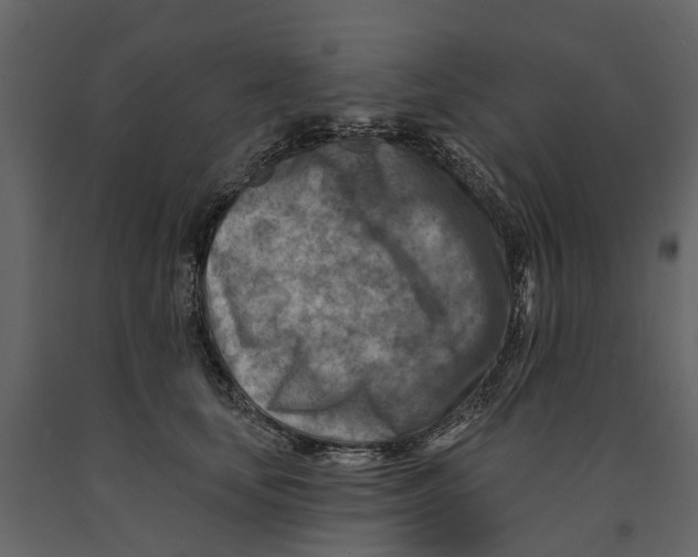 X0000090930659200708271045