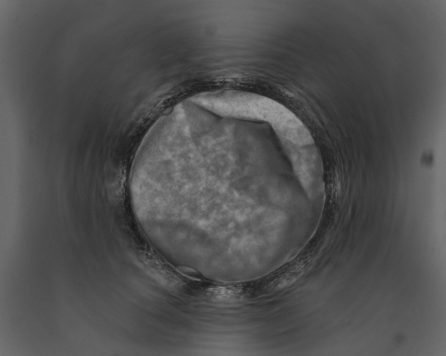 X0000090930660200708271045