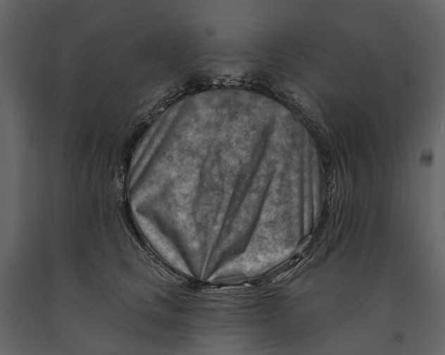 X0000090930661200708271045