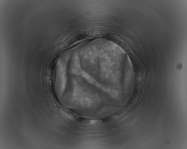 X0000090930663200708271045