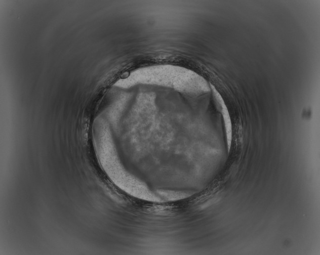 X0000090930664200708271045