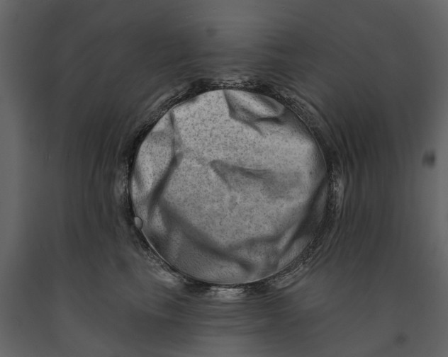 X0000090930665200708271045