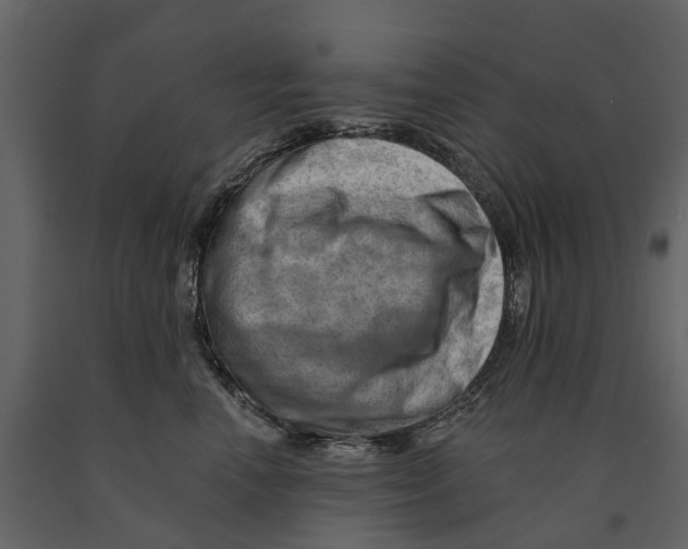 X0000090930666200708271045