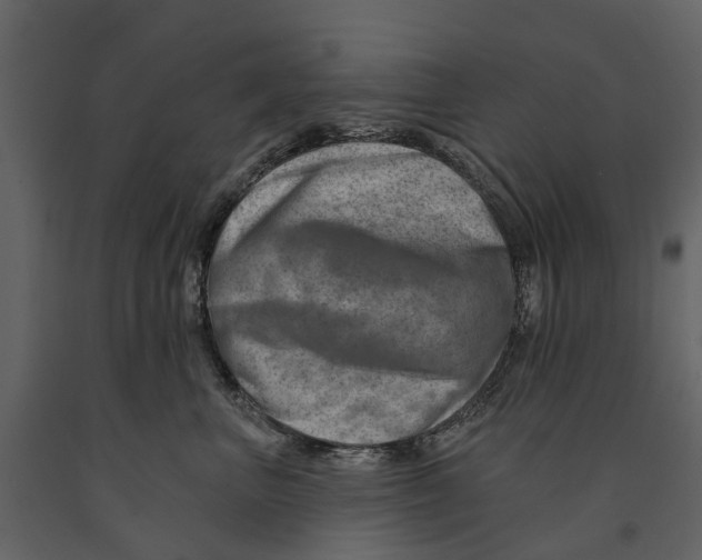 X0000090930667200708271045