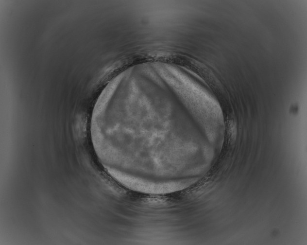 X0000090930668200708271045