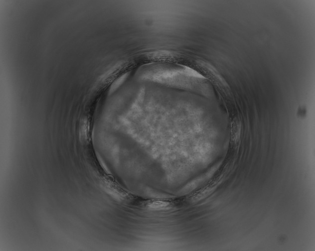 X0000090930669200708271045