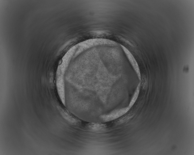 X0000090930670200708271045