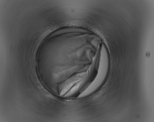 X0000090930673200708271045