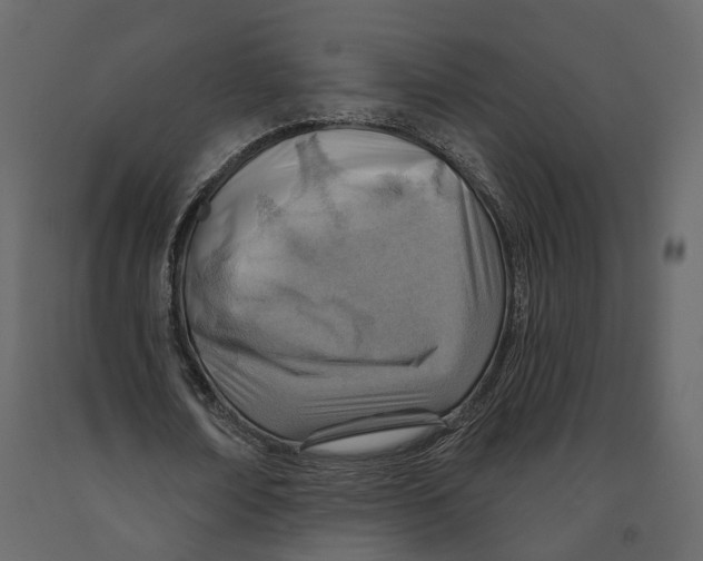 X0000090930674200708271045