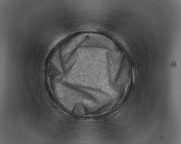 X0000090930675200708271045