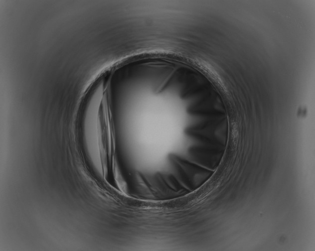 X0000090930676200708271045