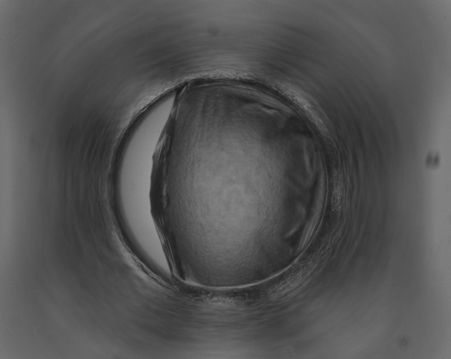 X0000090930677200708271045