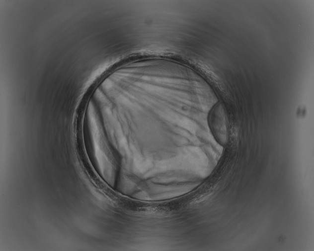 X0000090930678200708271045