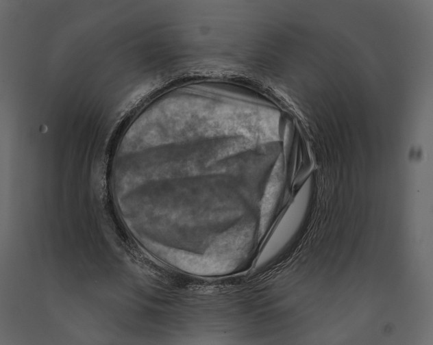 X0000090930679200708271045