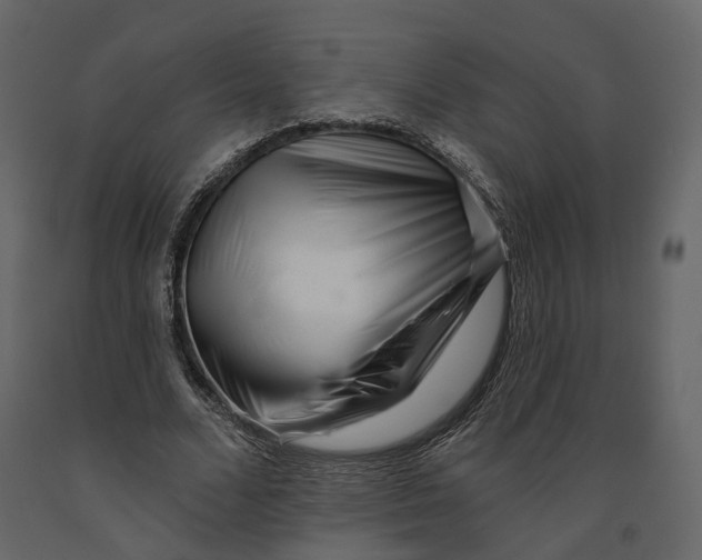 X0000090930680200708271045