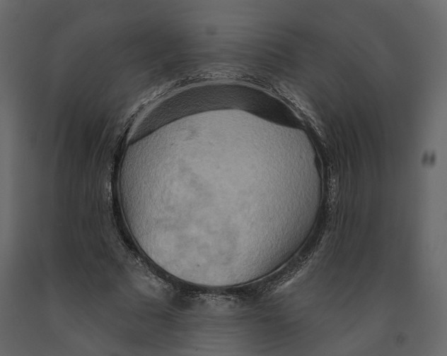 X0000090930681200708271045