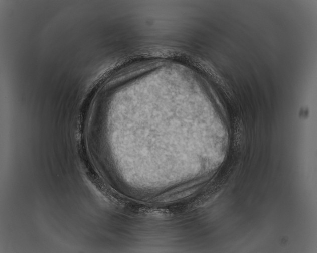 X0000090930683200708271045