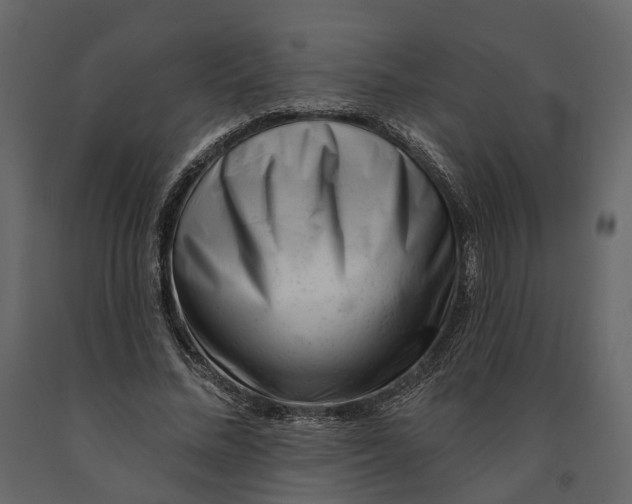 X0000090930684200708271045