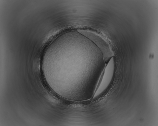 X0000090930685200708271045