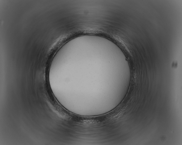 X0000090930686200708271045